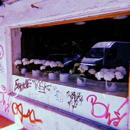 A photograph of flowers in a window with graffiti